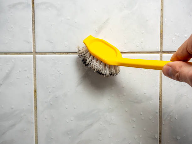 Best Toxic Mold Removal  in Pagosa Springs, CO